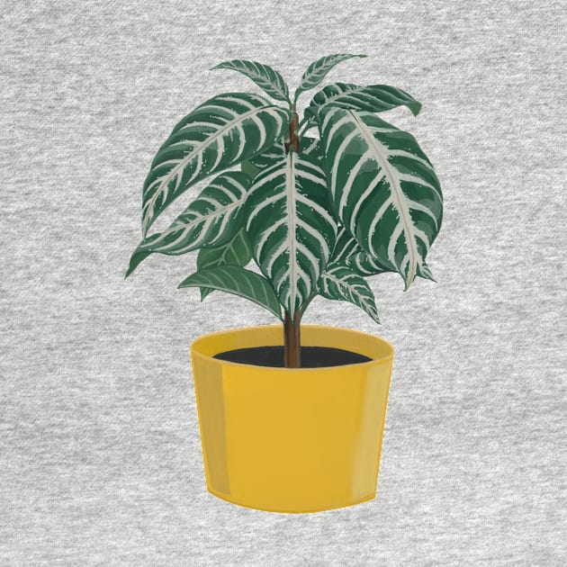 Zebra Plant with Mustard Pot by Flowering Words